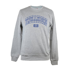 Ladda bild till galleri, Sweatshirt &quot;Trelleborg 1926&quot; JR